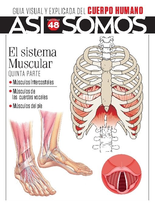 Title details for Así Somos - El cuerpo humano by Media Contenidos - Available